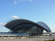 Xavier MARY - Aéroports de Lyon