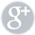 Google+