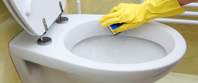 Bien-être au travail : le rôle clé des toilettes - Hygiène / propreté /  décontamination